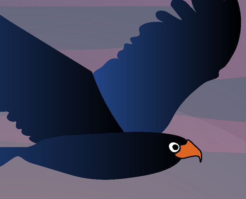 Le club des drôles d&rsquo;oiseaux